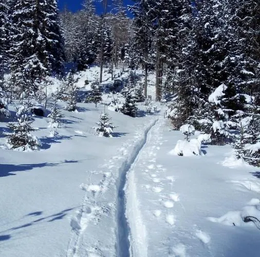 Apartmán Sonnen-appartement Heidi *